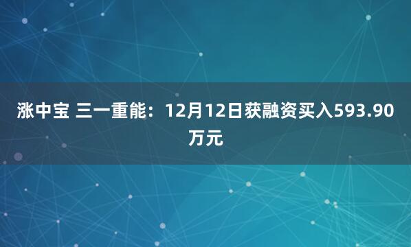 涨中宝 三一重能：12月12日获融资买入593.90万元