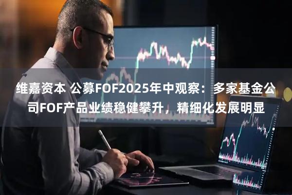 维嘉资本 公募FOF2025年中观察：多家基金公司FOF产品业绩稳健攀升，精细化发展明显