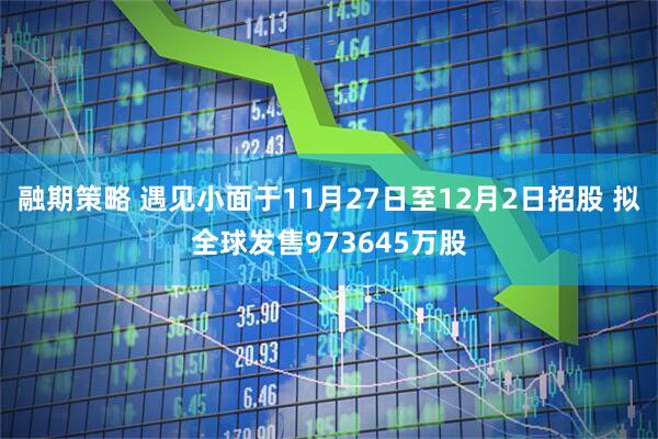融期策略 遇见小面于11月27日至12月2日招股 拟全球发售973645万股